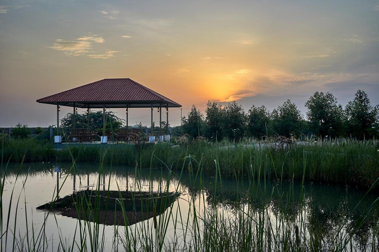 Blackbuck Safari Lodge Velavadar Bavliari Екстер'єр фото